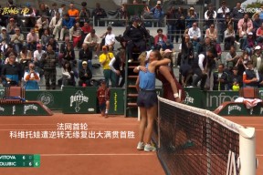 开云 - 科维托娃迎来七赛季高光表现，G2球迷沸腾！